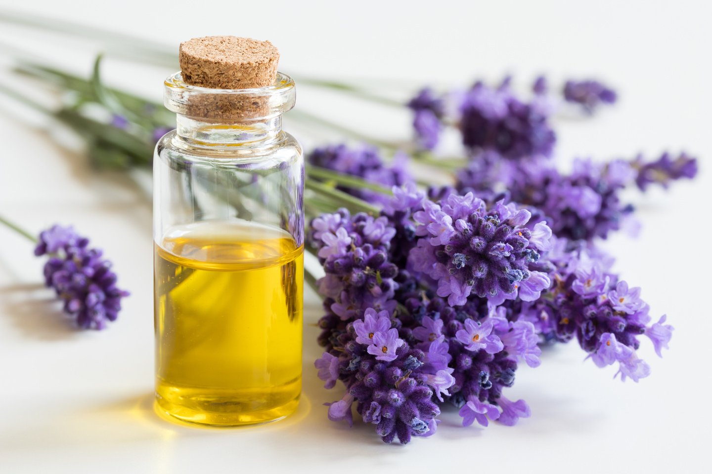 Lavender essential oil